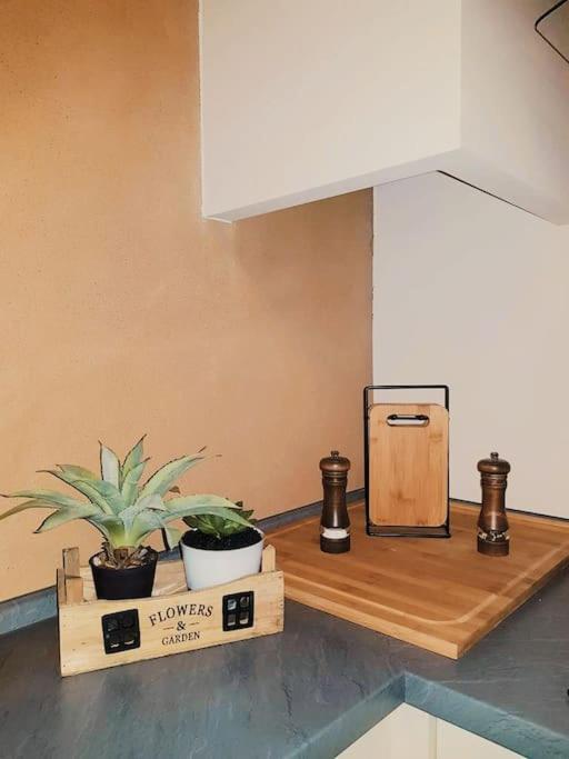 Komfortables Apartment Im Zentrum Erfurts ภายนอก รูปภาพ